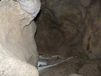 Bärenhöhle bei Inari (Finnland)