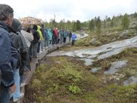 Alta - Felszeichnungen