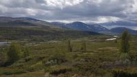 Dovrefjell