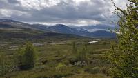 Dovrefjell