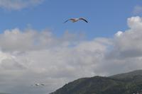 Ausschiffen Hafen Bergen
