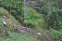 Aussichtspunkt Floyen (10)