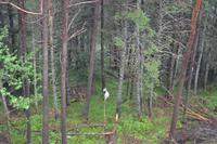 Aussichtspunkt Floyen (11)