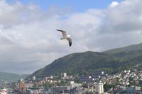 Begleiter bei der Ausschiffung (3)