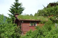 Besuch der Ziegenalm (9)