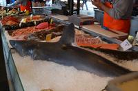 Fischmarkt Bergen (3)