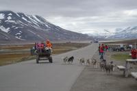 Huskyschlittenfahrt (3)