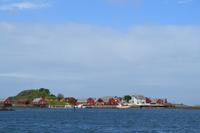 Insel Haholmen