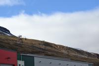 Kohlebahn Longyearbyen