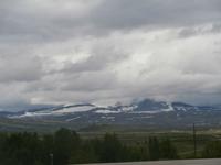 Snöhätta im Dovrefjell