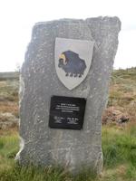 Dovrefjell Stele Moschusochsen