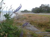 Fahrt nach Andalsnes