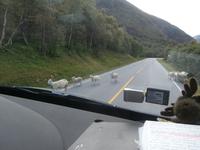 Fahrt nach Magerholm