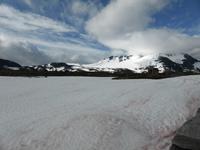 7. TAg Sognefjellstraße