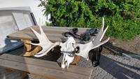 142 Dombas, E-Bike-Elchsafari mit Ole Johan