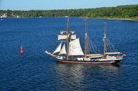 006 Kieler Förde, Kieler Woche