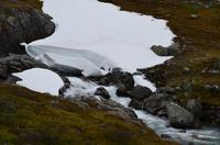 267 Jotunheimen
