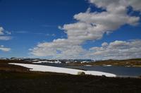 367 Hardangervidda