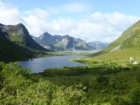 055-Lofoten_Napp