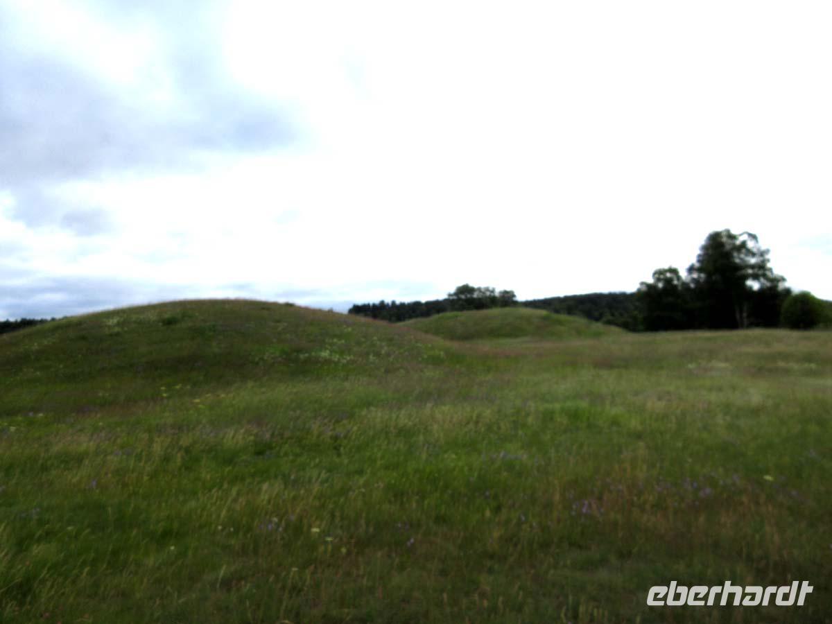 Mächtige Hügelgräber in Högom