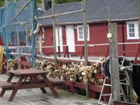 Trockenfisch in Nusfjord