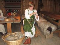 Im Wikingermuseum Borg