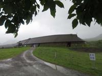 Häuptlingshof in Borg