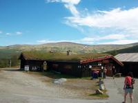 Auf dem Dovrefjell
