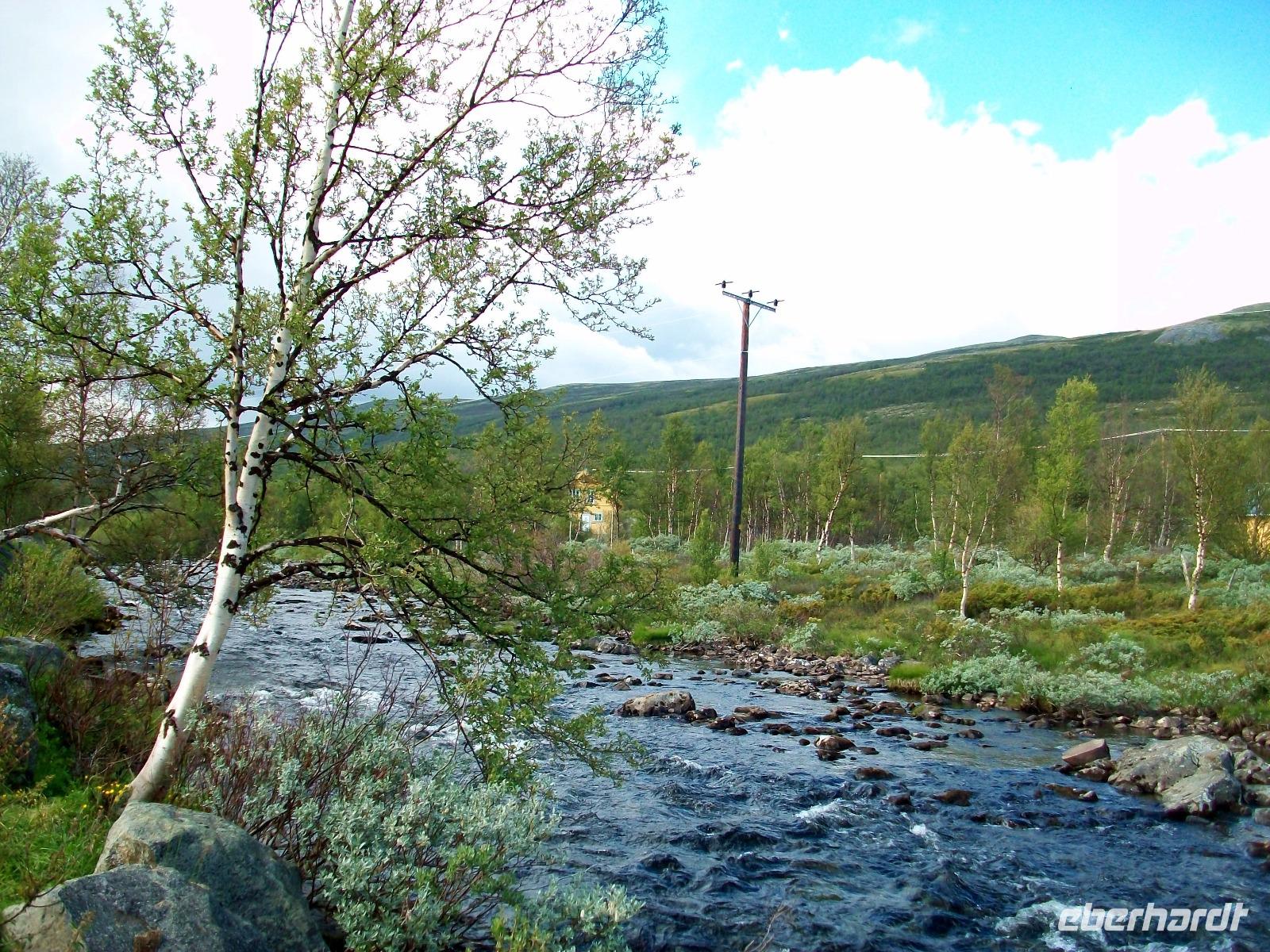 Auf dem Dovrefjell