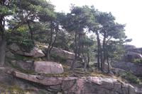 Keillers Park in Göteborg