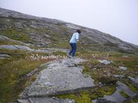 Fotostopp am Strynefjellet