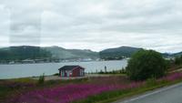 Sortland
