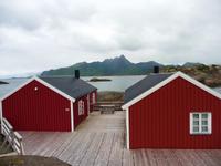 Robustatles, Mortsund