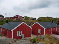 Robustatles, Mortsund