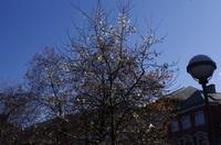 Bergen Frühlingsanfang