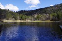 Bergen Spaziergang auf dem Floyen