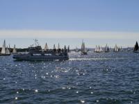 Segelwettbewerb im Oslofjord