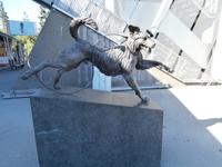 Schanze Holmenkollen Oslo