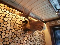 Lillehammer-der Rest vom Elch