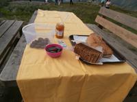 Picknick mit Elch und Rentiersalami und Multebeermarmelade