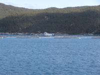 Fischzucht in Käfigen