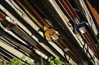 Norwegen - Wunderwelt der Fjorde - Eberhardt-Travel - Reiseleiter Martin Büchner-3637