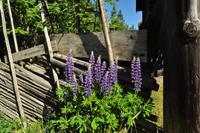 Norwegen - Wunderwelt der Fjorde - Eberhardt-Travel - Reiseleiter Martin Büchner-3638