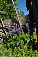Norwegen - Wunderwelt der Fjorde - Eberhardt-Travel - Reiseleiter Martin Büchner-3639