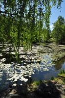 Norwegen - Wunderwelt der Fjorde - Eberhardt-Travel - Reiseleiter Martin Büchner-3693
