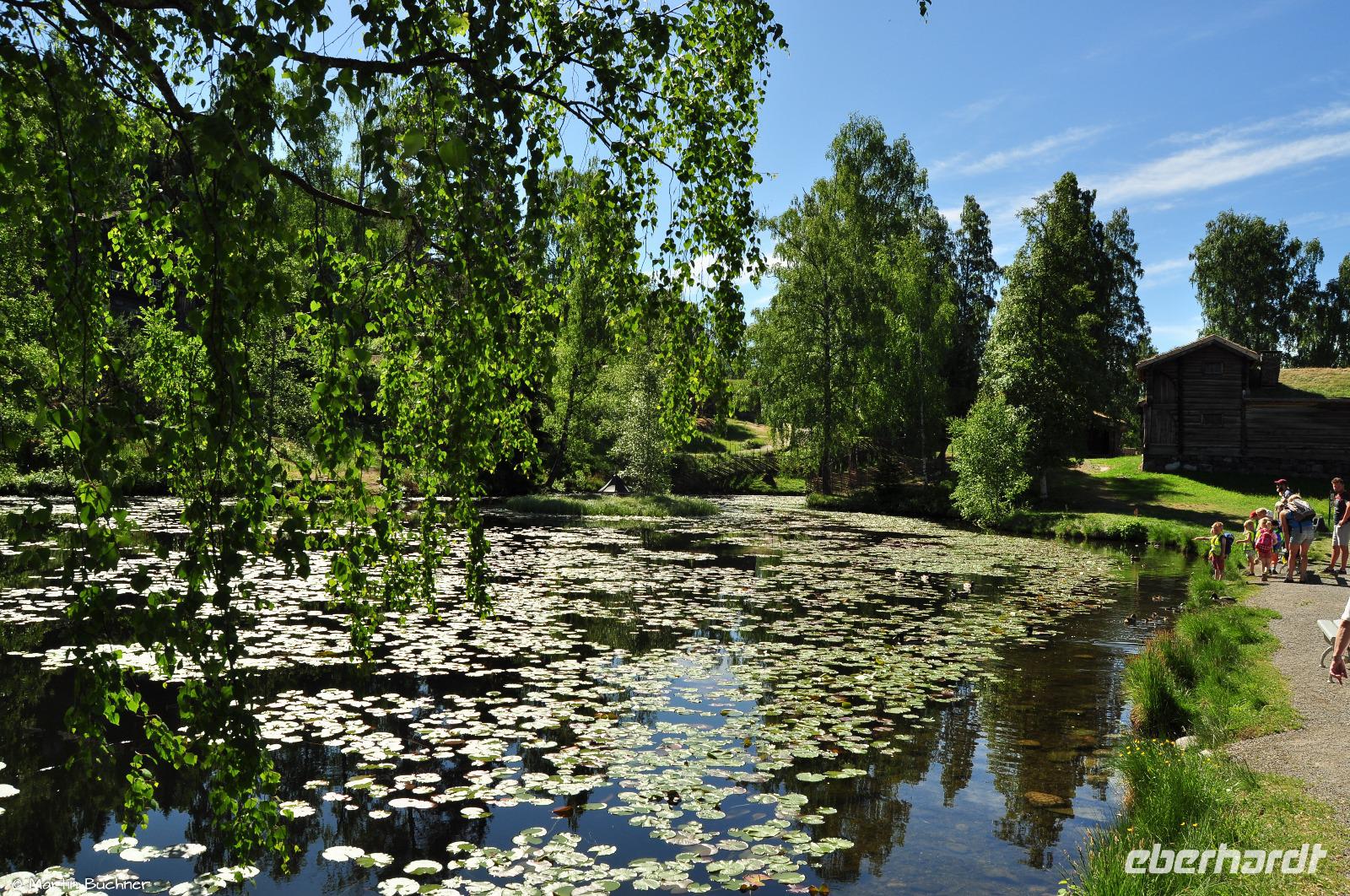 Norwegen - Wunderwelt der Fjorde - Eberhardt-Travel - Reiseleiter Martin Büchner-3695