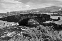 Norwegen - Wunderwelt der Fjorde - Eberhardt-Travel - Reiseleiter Martin Büchner-3742