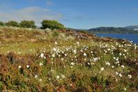 Norwegen - Wunderwelt der Fjorde - Eberhardt-Travel - Reiseleiter Martin Büchner-3911