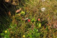 Norwegen - Wunderwelt der Fjorde - Eberhardt-Travel - Reiseleiter Martin Büchner-3923