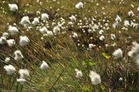 Norwegen - Wunderwelt der Fjorde - Eberhardt-Travel - Reiseleiter Martin Büchner-3929